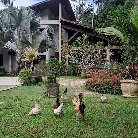 شقة Casa Na Floresta بينيدو المظهر الخارجي الصورة
