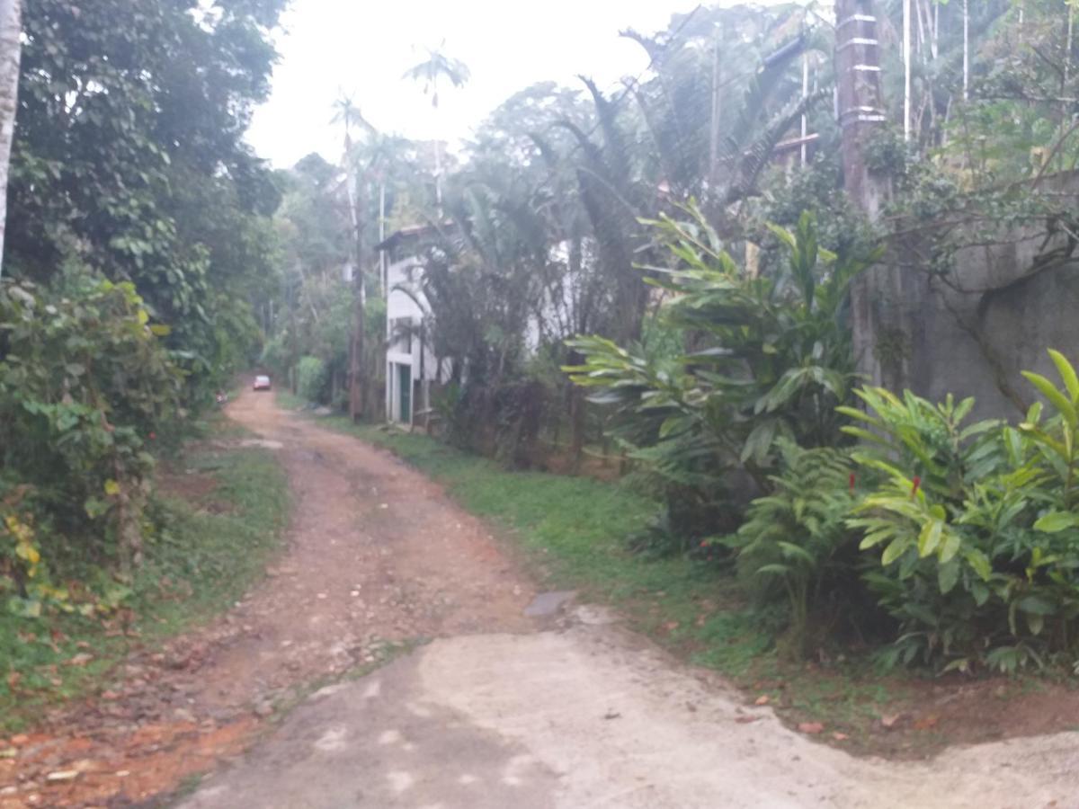 شقة Casa Na Floresta بينيدو المظهر الخارجي الصورة