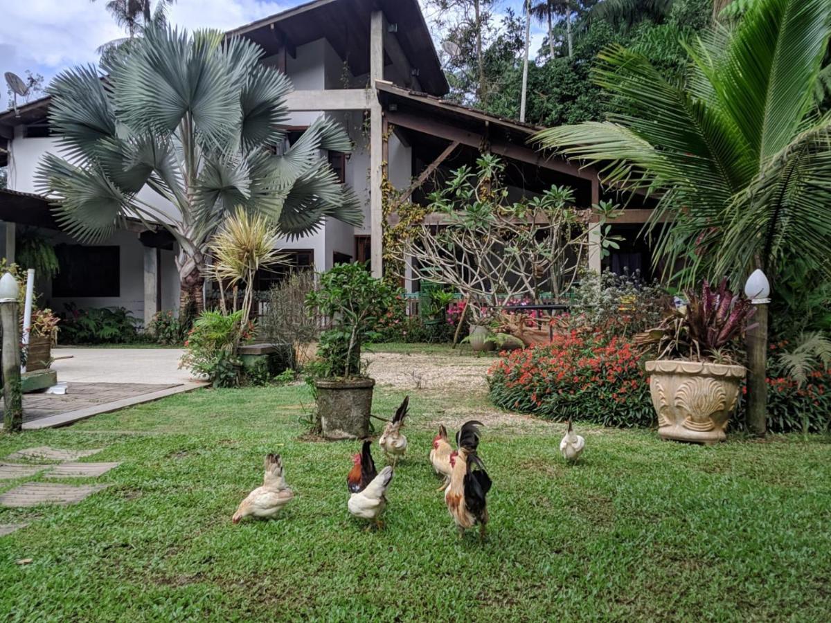 شقة Casa Na Floresta بينيدو المظهر الخارجي الصورة