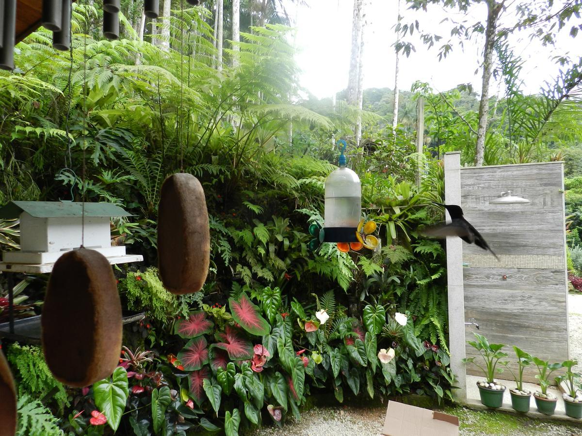 شقة Casa Na Floresta بينيدو المظهر الخارجي الصورة