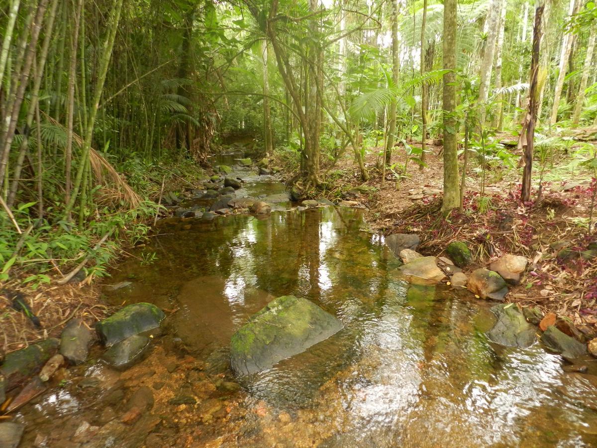 شقة Casa Na Floresta بينيدو المظهر الخارجي الصورة
